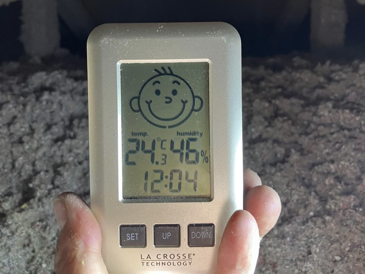 Hygrometer reading a comfortable 24°C in an attic freshly topped up with blown-in cellulose insulation