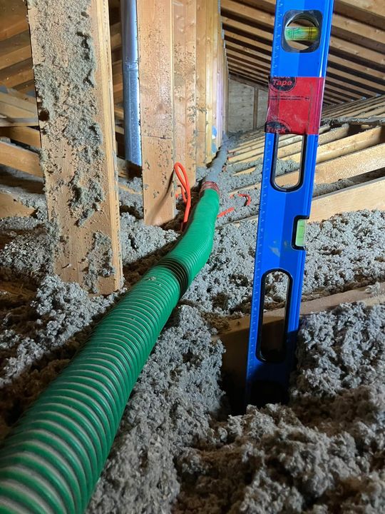 Level standing in fresh cellulose to check the depth