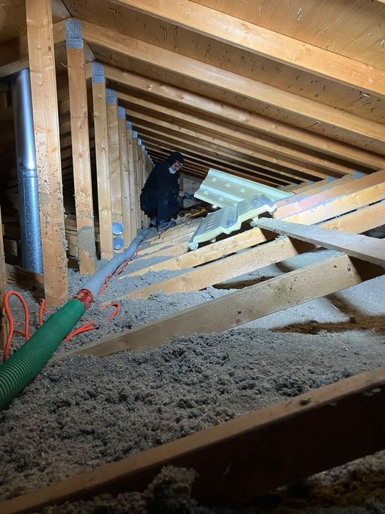 Fresh cellulose along the eaves