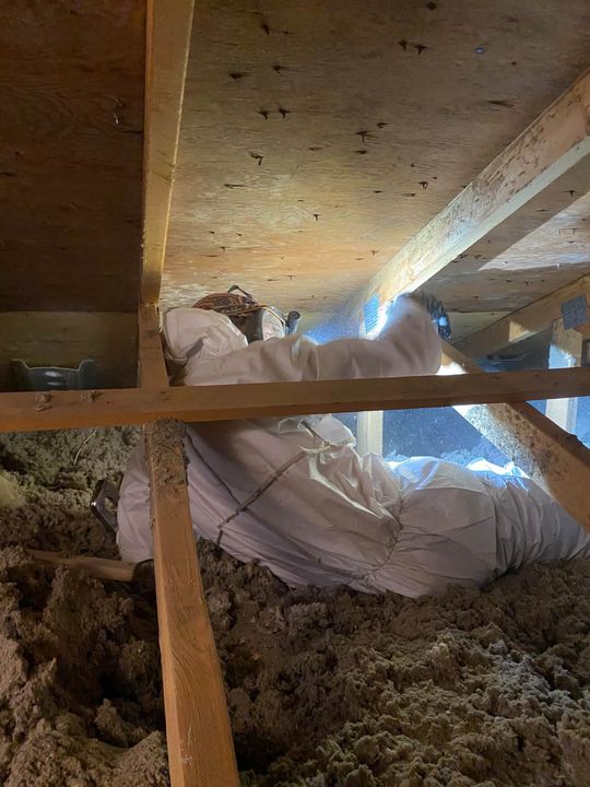 Tech working in the attic among the roof trusses