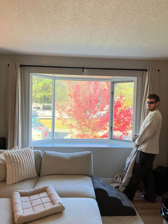 Living room with a new window and an autumn maple outside